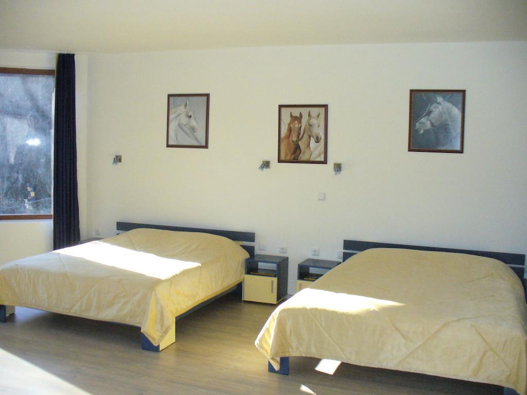 Guest House Alfa Daniel Balkanets  Oda fotoğraf