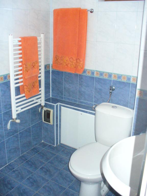 Guest House Alfa Daniel Balkanets  Oda fotoğraf