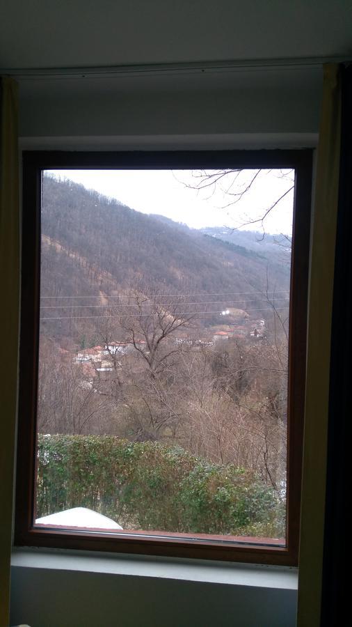 Guest House Alfa Daniel Balkanets  Dış mekan fotoğraf
