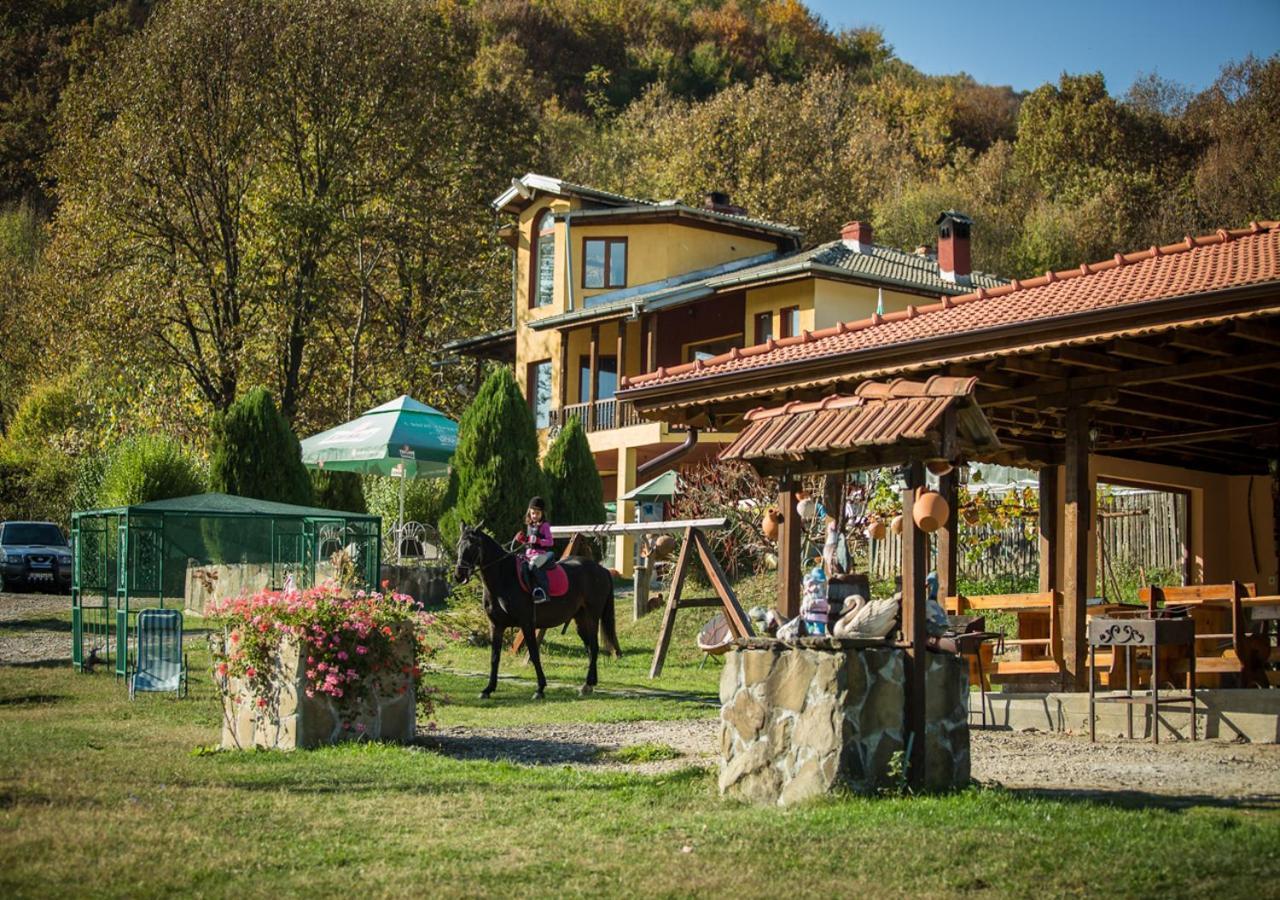 Guest House Alfa Daniel Balkanets  Dış mekan fotoğraf
